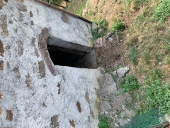 ea_IMG_3088