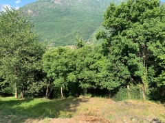 ea_IMG_7931