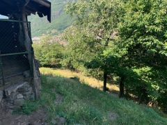 Esterno